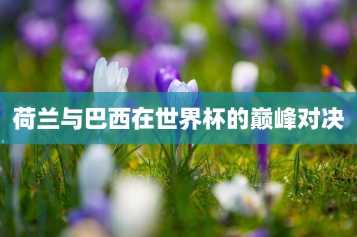 荷兰与巴西在世界杯的巅峰对决