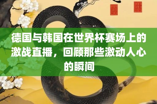 德国与韩国在世界杯赛场上的激战直播，回顾那些激动人心的瞬间
