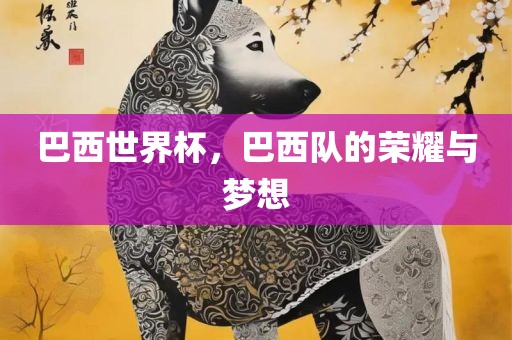 巴西世界杯，巴西队的荣耀与梦想