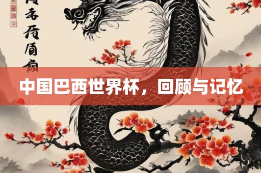 中国巴西世界杯，回顾与记忆