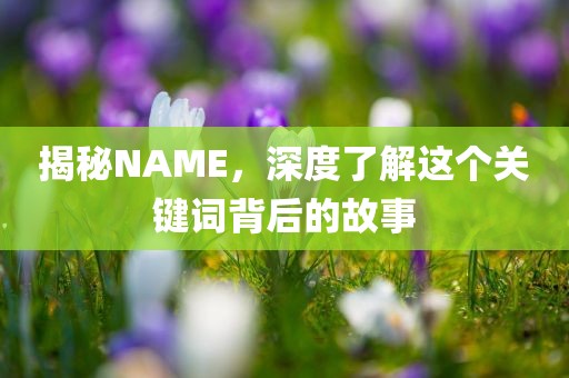 揭秘NAME，深度了解这个关键词背后的故事