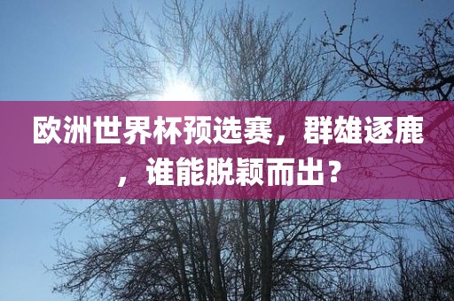 欧洲世界杯预选赛，群雄逐鹿，谁能脱颖而出？