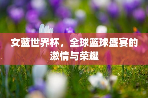 女蓝世界杯，全球篮球盛宴的激情与荣耀