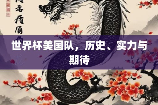 世界杯美国队，历史、实力与期待