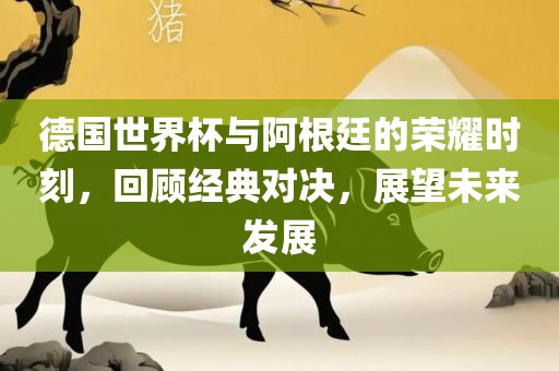德国世界杯与阿根廷的荣耀时刻，回顾经典对决，展望未来发展