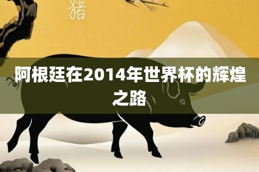 阿根廷在2014年世界杯的辉煌之路