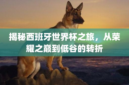 揭秘西班牙世界杯之旅，从荣耀之巅到低谷的转折