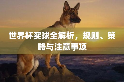世界杯买球全解析，规则、策略与注意事项