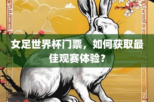 女足世界杯门票，如何获取最佳观赛体验？