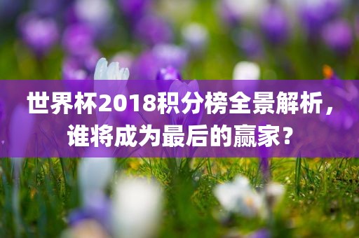 世界杯2018积分榜全景解析，谁将成为最后的赢家？