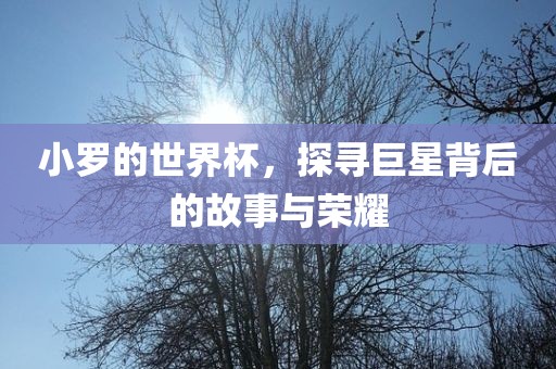 小罗的世界杯，探寻巨星背后的故事与荣耀