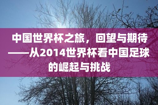 中国世界杯之旅，回望与期待——从2014世界杯看中国足球的崛起与挑战