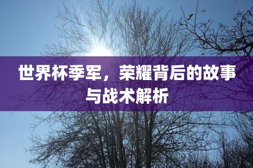 世界杯季军，荣耀背后的故事与战术解析