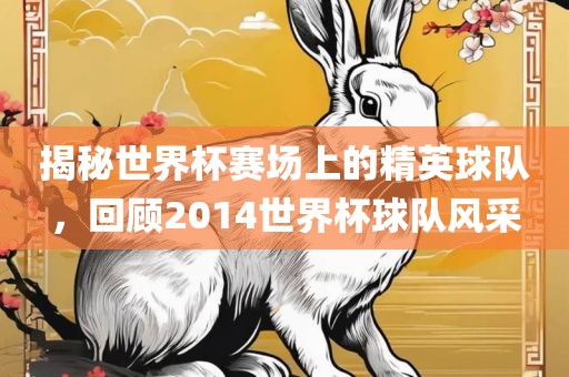 揭秘世界杯赛场上的精英球队，回顾2014世界杯球队风采