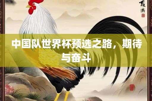 中国队世界杯预选之路，期待与奋斗