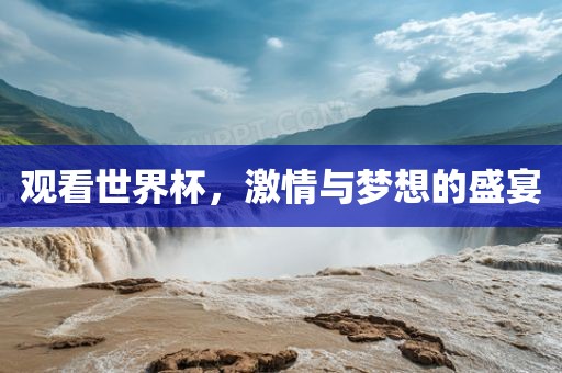 观看世界杯，激情与梦想的盛宴