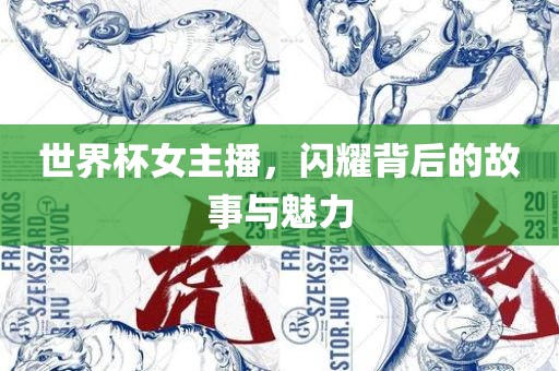 世界杯女主播，闪耀背后的故事与魅力