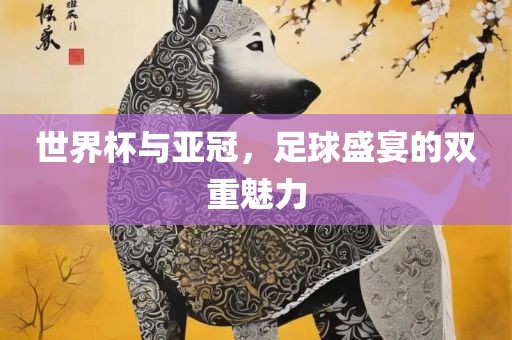 世界杯与亚冠，足球盛宴的双重魅力