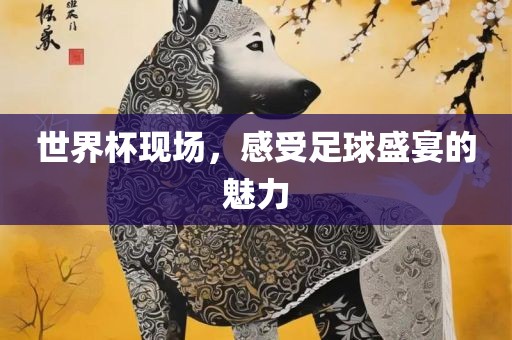世界杯现场，感受足球盛宴的魅力