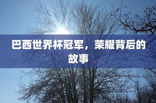 巴西世界杯冠军，荣耀背后的故事