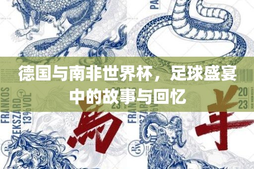 德国与南非世界杯，足球盛宴中的故事与回忆