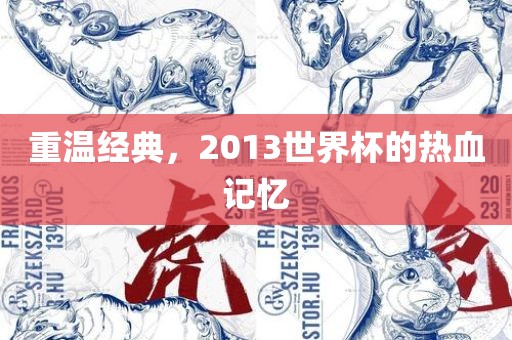 重温经典，2013世界杯的热血记忆