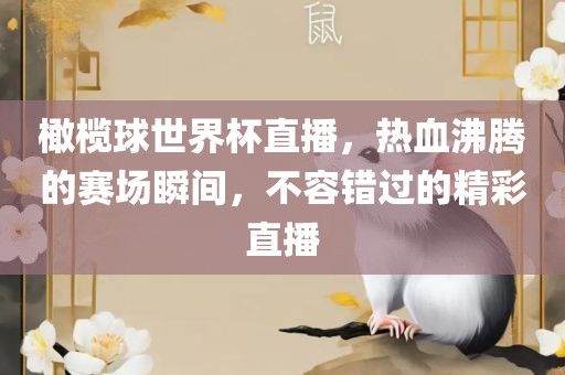 橄榄球世界杯直播，热血沸腾的赛场瞬间，不容错过的精彩直播