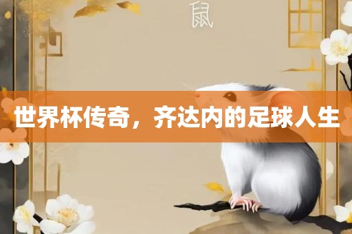 世界杯传奇，齐达内的足球人生