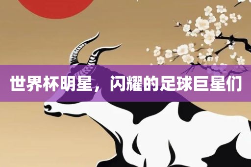 世界杯明星，闪耀的足球巨星们