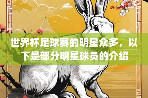 世界杯足球赛的明星众多，以下是部分明星球员的介绍