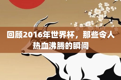 回顾2016年世界杯，那些令人热血沸腾的瞬间