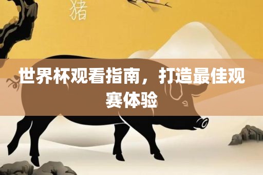 世界杯观看指南，打造最佳观赛体验