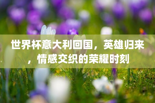 世界杯意大利回国，英雄归来，情感交织的荣耀时刻