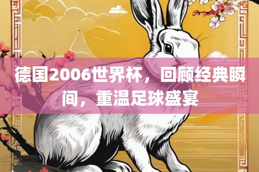 德国2006世界杯，回顾经典瞬间，重温足球盛宴