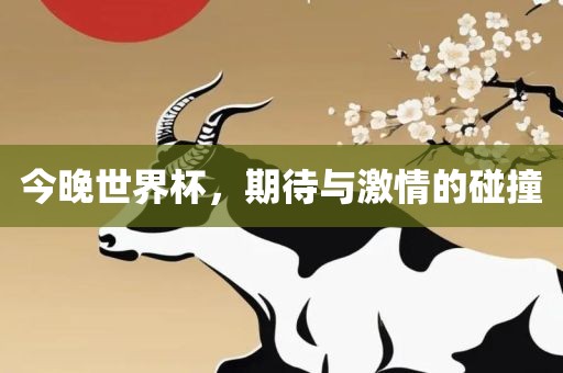 今晚世界杯，期待与激情的碰撞