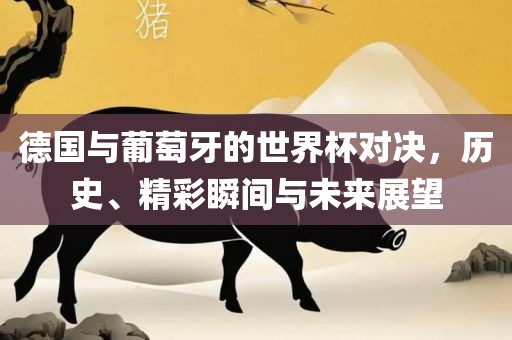 德国与葡萄牙的世界杯对决，历史、精彩瞬间与未来展望