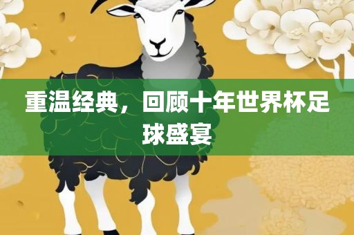 重温经典，回顾十年世界杯足球盛宴
