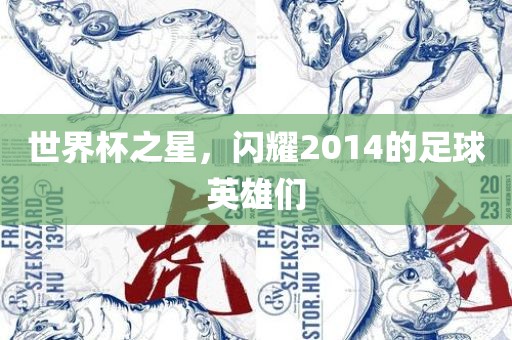 世界杯之星，闪耀2014的足球英雄们