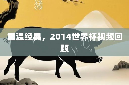 重温经典，2014世界杯视频回顾