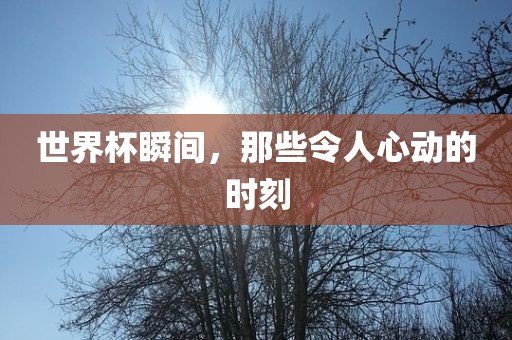 世界杯瞬间，那些令人心动的时刻