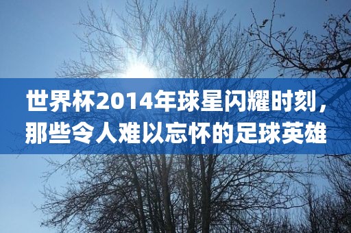 世界杯2014年球星闪耀时刻，那些令人难以忘怀的足球英雄