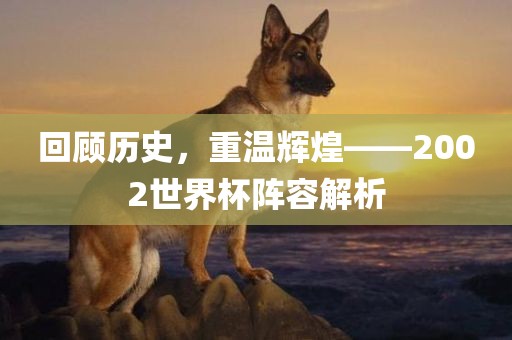 回顾历史，重温辉煌——2002世界杯阵容解析