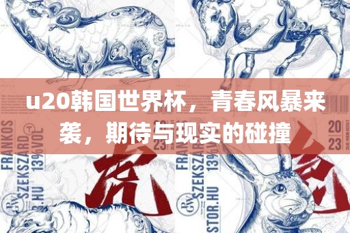 u20韩国世界杯，青春风暴来袭，期待与现实的碰撞