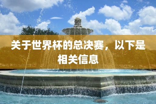 关于世界杯的总决赛，以下是相关信息