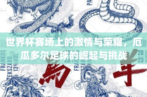 世界杯赛场上的激情与荣耀，厄瓜多尔足球的崛起与挑战