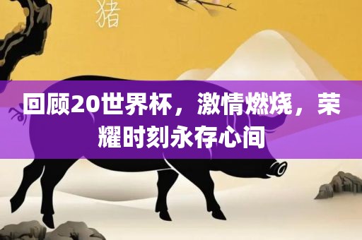 回顾20世界杯，激情燃烧，荣漯河市盈旭机械设备有限公司耀时刻永存心间