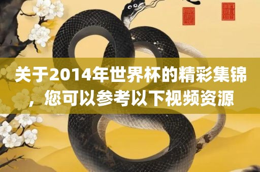 关于2014年世界杯的精彩集锦，您可以参考以下视频资源