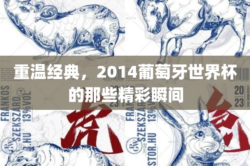 重温经典，2014葡萄牙世界杯的那些精彩瞬间