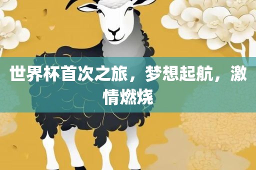 世界杯首次之旅，梦想起航，激情燃烧