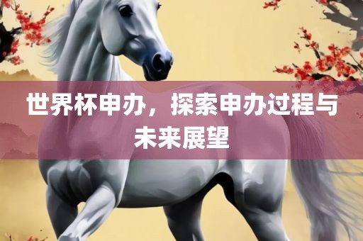世界杯申办，探索申办过程与未来展望